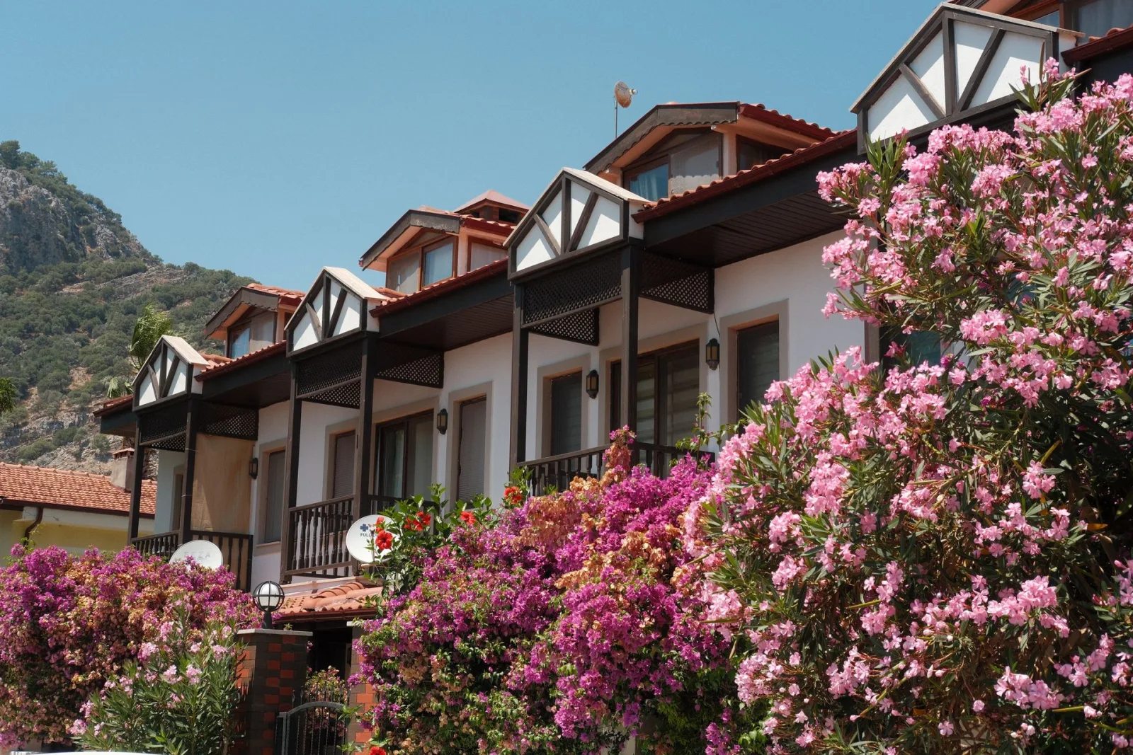 Champawat Kumaon Heritage Homestay
