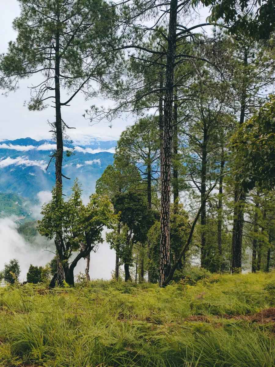 Dhanaulti