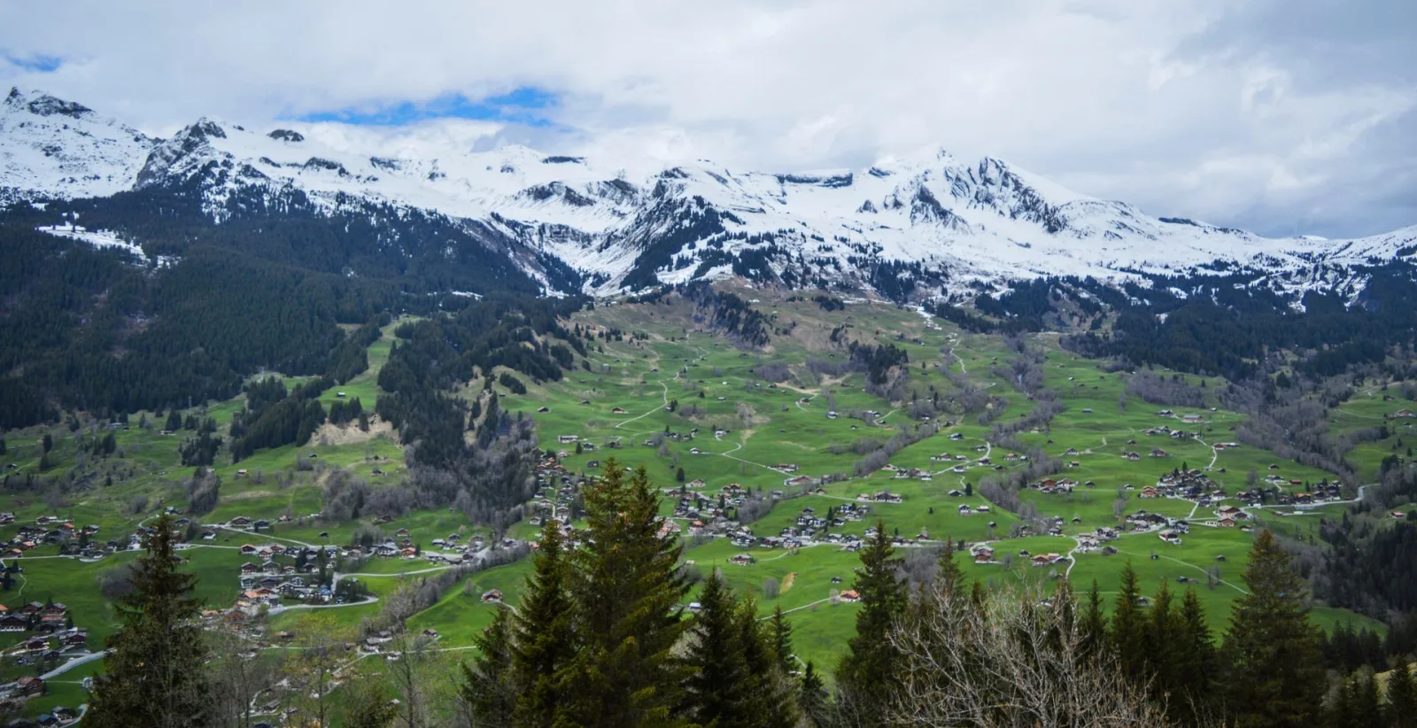 Budhi Village